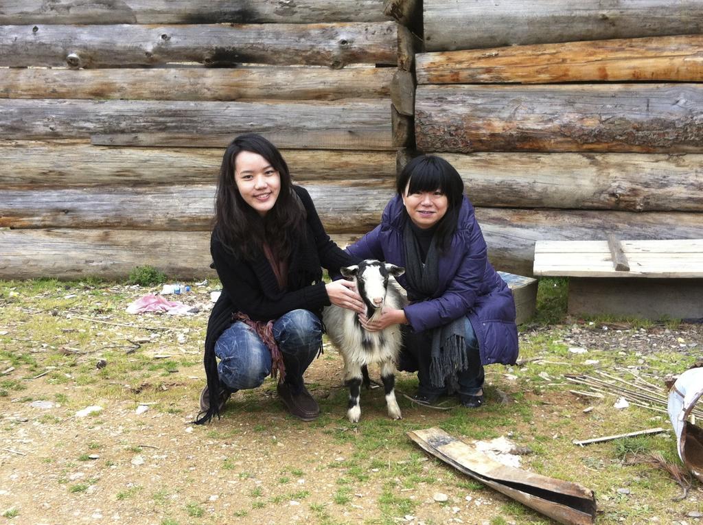 香格里拉晨曦小院住宿加早餐旅馆 外观 照片